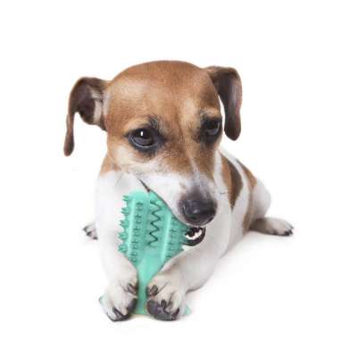 Amazon Hot Sale Interactive Toothbrush Food Leakage Rubber Dogs Chew Toys